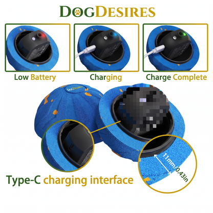 DogDesires Smart Ball