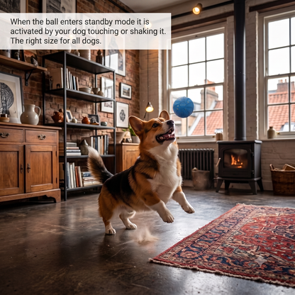 DogDesires Smart Ball