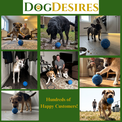 DogDesires Smart Ball