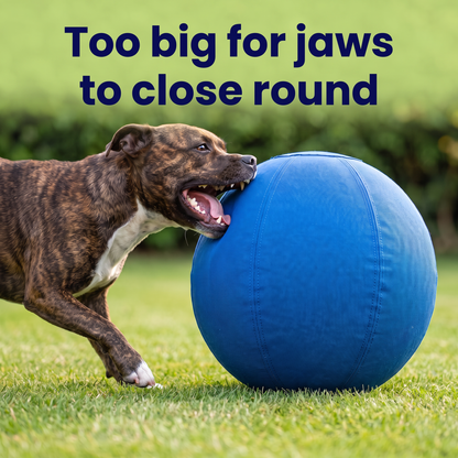 DogDesires Indestructible Herding Ball