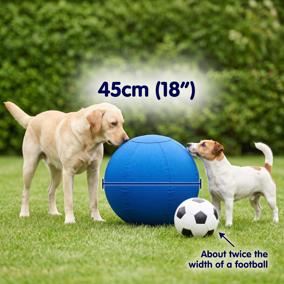 DogDesires Indestructible Herding Ball