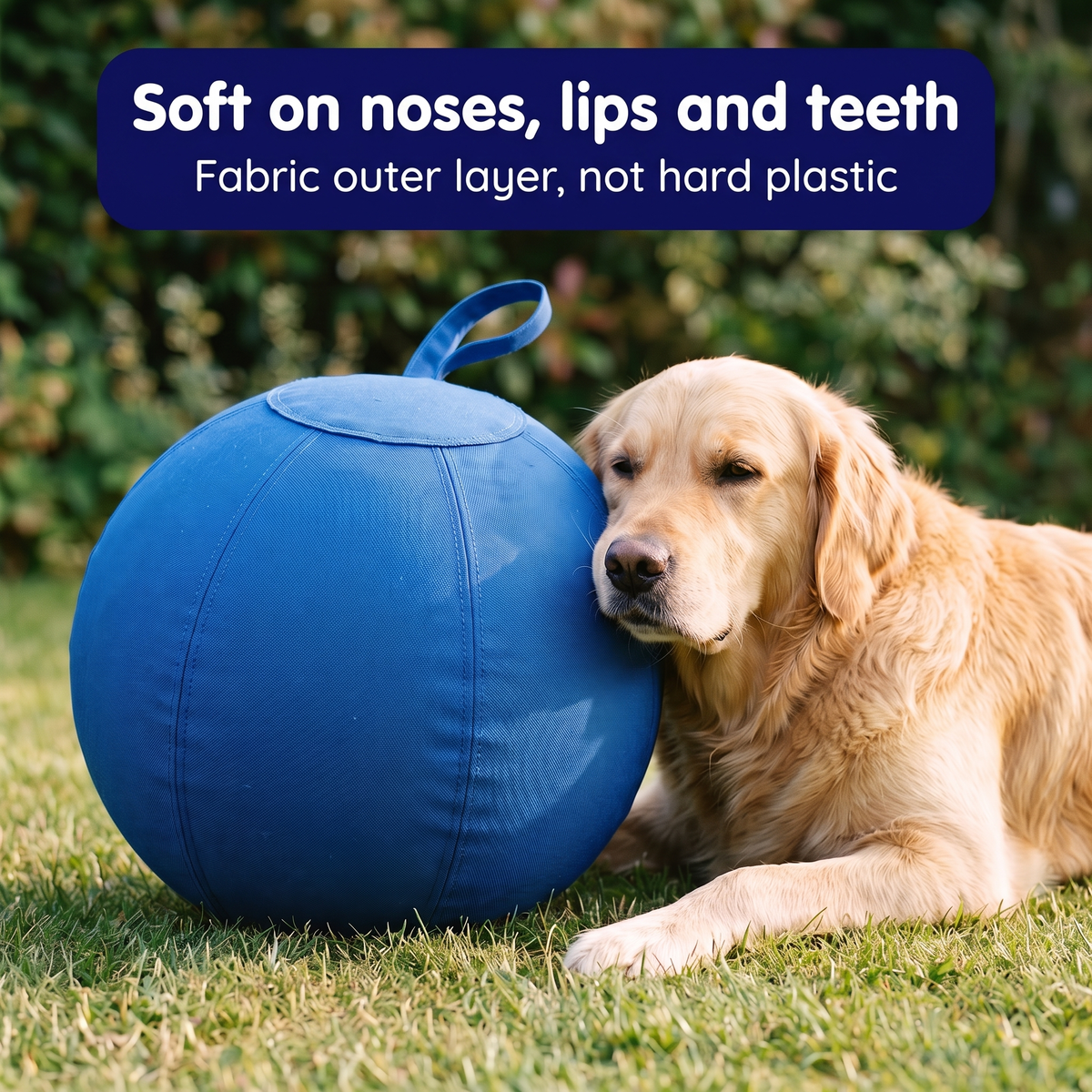 DogDesires Indestructible Herding Ball